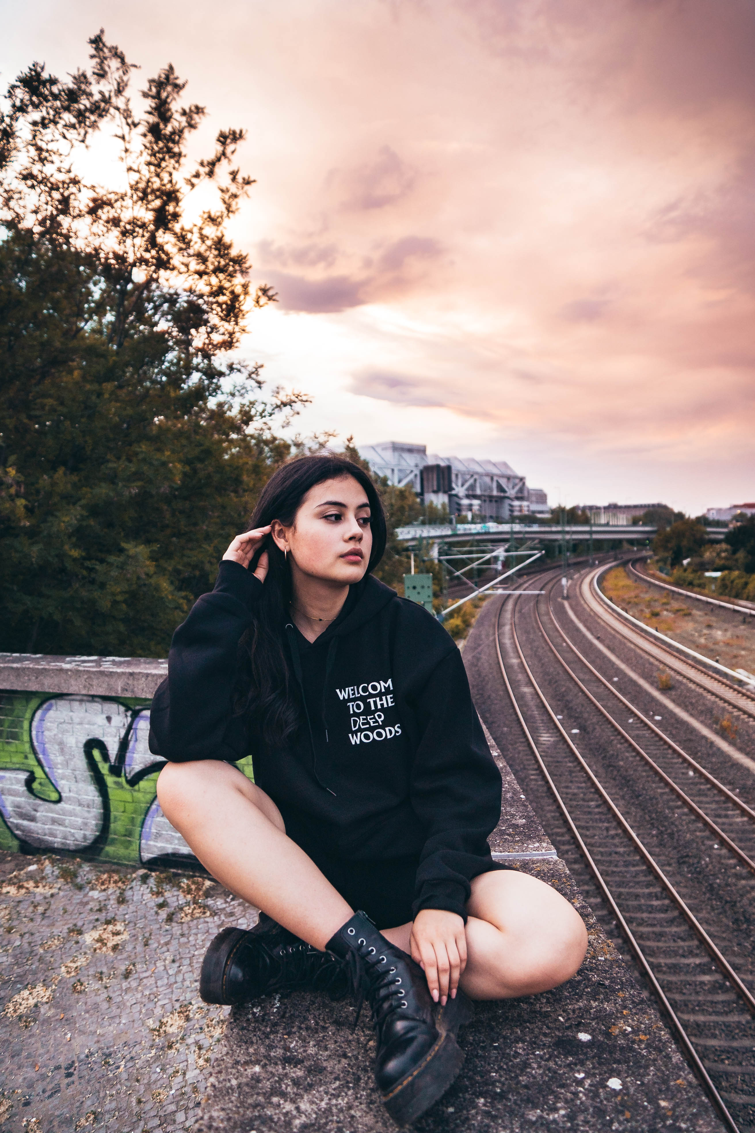WTTDW Hoodie (Reflective Print)