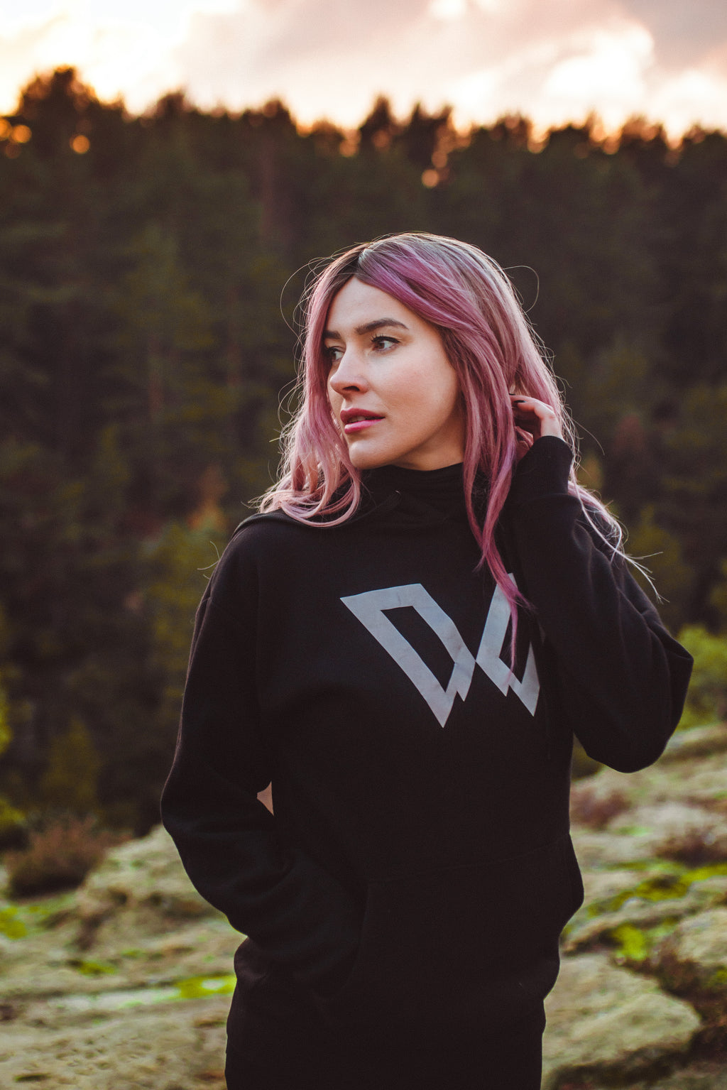 Big W Icon Hoodie (Reflective Print)